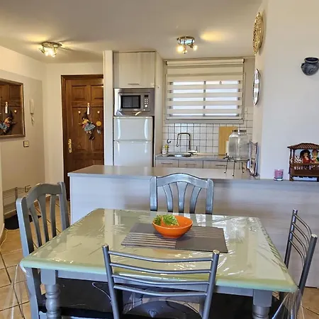 公寓 Elite Palace Playa Duque